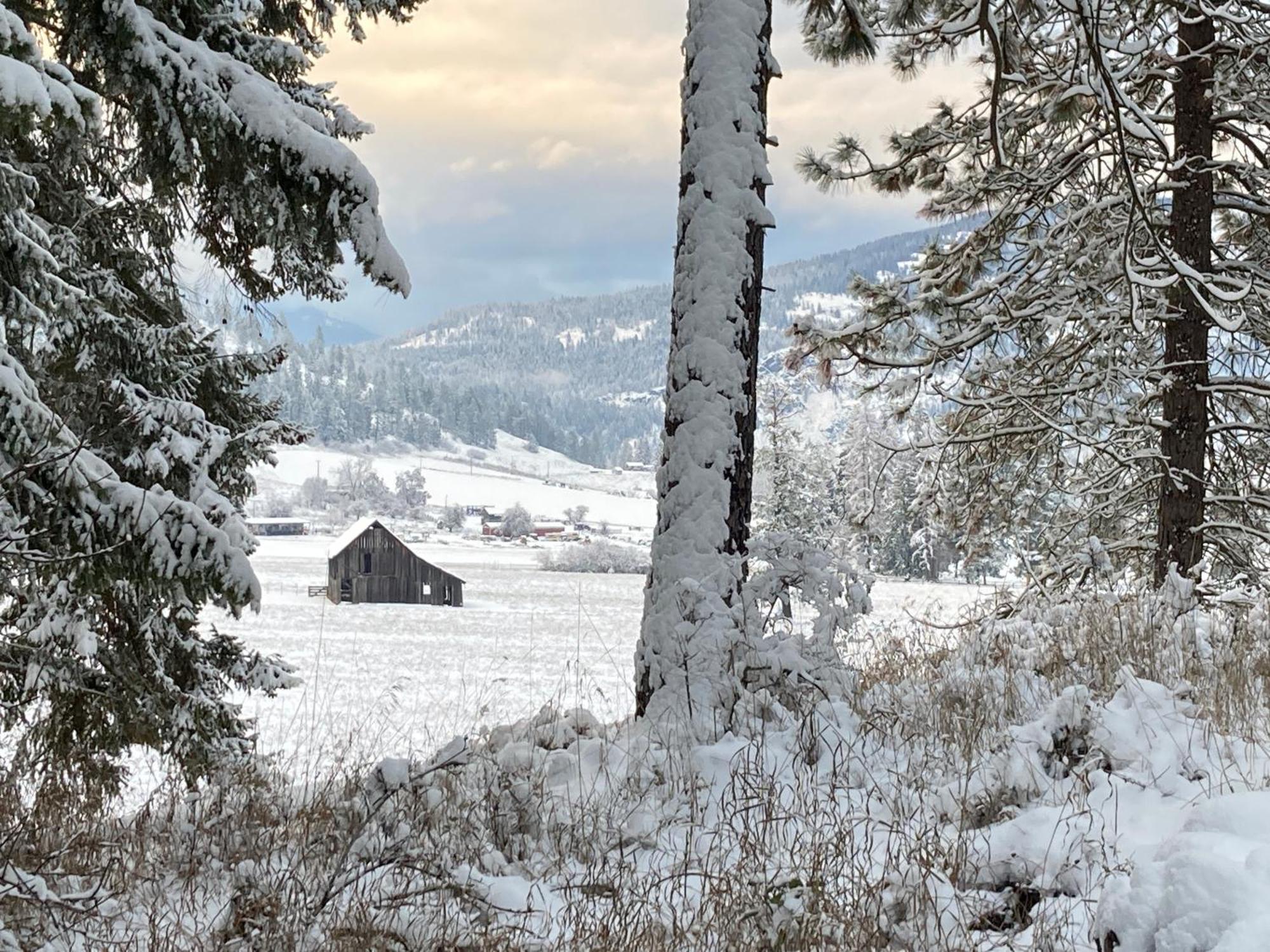 Hideaway Ranch Guest House Bonners Ferry Room photo